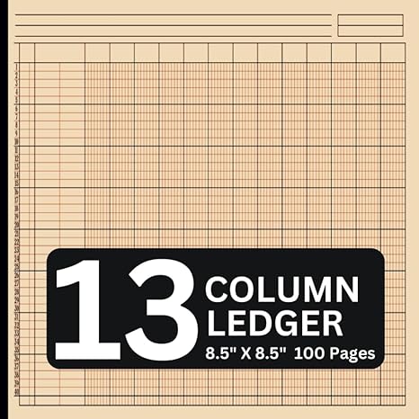 13 column ledger 1st edition mark goodman b0cjxgyfkx