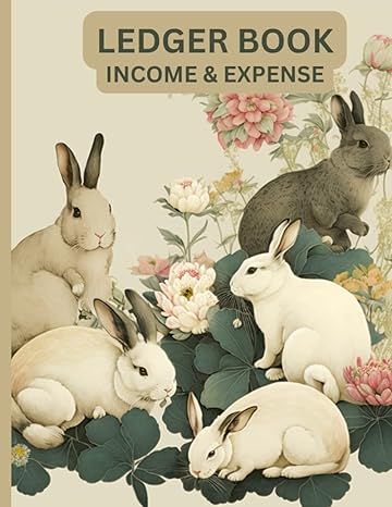 ledger book income and expenses 1st edition marble self publishing b0btj1tynt