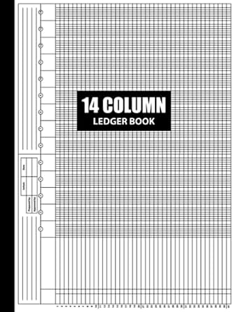 14 column ledger book 1st edition inmovatie press b0cdncgd56