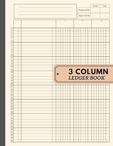 3 column ledger book 1st edition anna lee b0c9s7p19b
