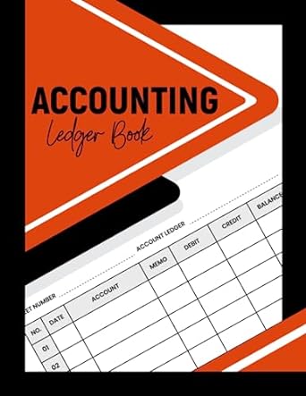 accounting ledger book 1st edition paisley diego kerr b0c9s8sk54