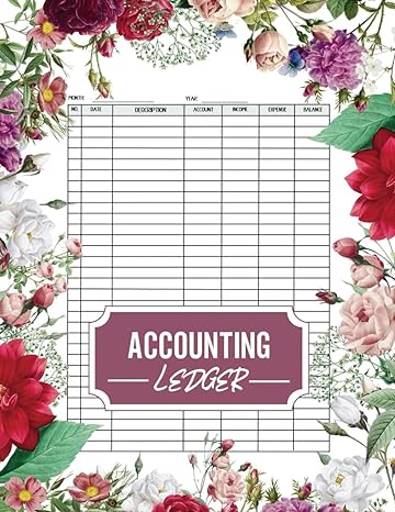 accounting ledger 1st edition isabella meadows b0cn6976tj