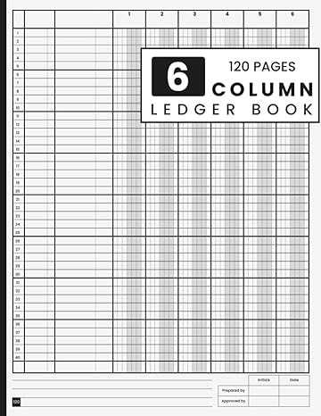 6 column ledger book 1st edition nad column ledgers b0bsm85bn7