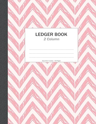 ledger book 2 column 1st edition colorful business life 979-8751899066
