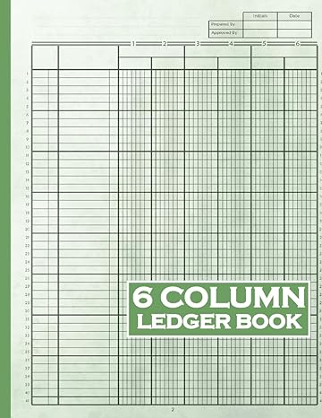 6 column ledger book 1st edition artistry plan b0cl983kd5