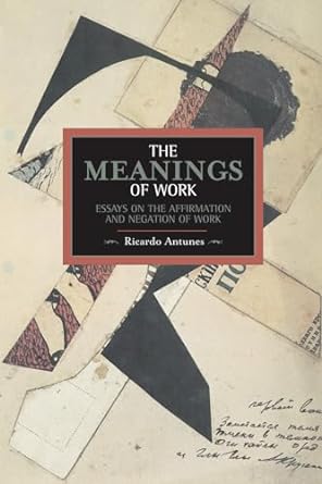 the meanings of work essays on the affirmation and negation of work 1st edition ricardo antunes 1608463389,