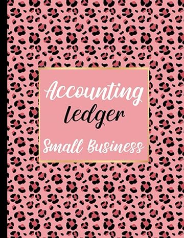 accounting ledger small business 1st edition professional log books 979-8805446826