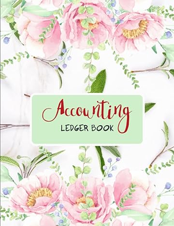 accounting ledger book 1st edition paisley diego kerr b0c9spdz2b