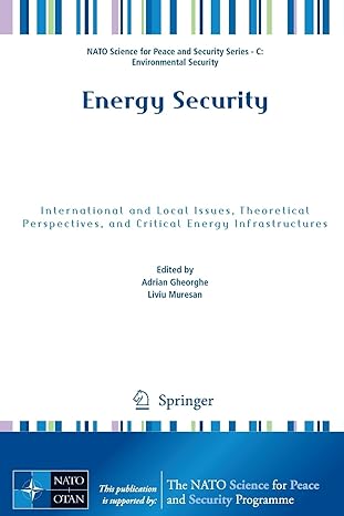 energy security international and local issues theoretical perspectives and critical energy infrastructures
