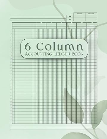 6 column accounting ledger book 1st edition marlies virgen. c b0cl3269qd