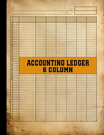 accounting ledger 6 column 1st edition robinle b0cjlcv9q6