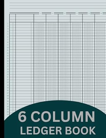 6 column ledger book 1st edition driss ledger column b0c7sz98py