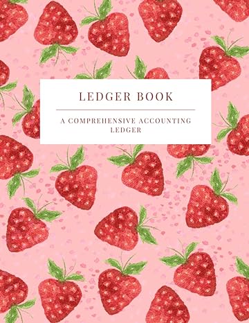 ledger book a comprehensive accounting ledger  scribblers haven books b0cfd2rfzy