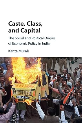 caste class and capital the social and political origins of economic policy in india 1st edition kanta murali