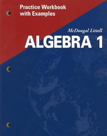 mcdougal littell algebra 1 practice workbook with examples 1st edition mcdougal littel 0618020632,