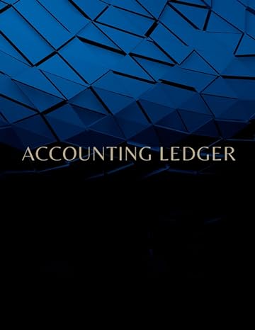 accounting ledger 1st edition annie averryl b0c9shk2ft