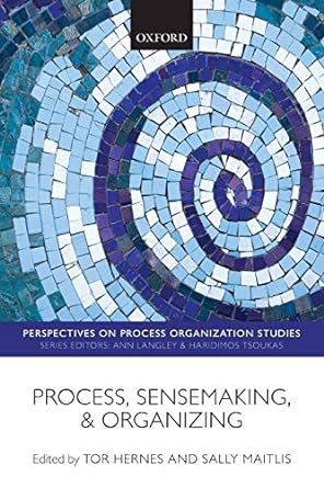 process sensemaking and organizing 1st edition tor hernes ,sally maitlis 0199655561, 978-0199655564