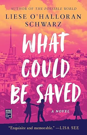 what could be saved a novel  liese ohalloran schwarz 1982150629, 978-1982150624