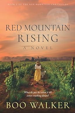 red mountain rising a novel  boo walker 1730911528, 978-1730911521