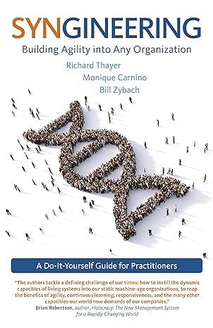 syngineering building agility into any organization a do it yourself guide for practitioners 1st edition