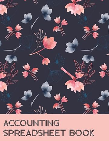 accounting spreadsheet book debit and credit accounting ledger and checkbook register for tracking account