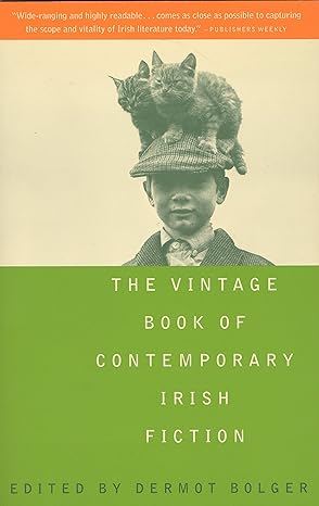 the vintage book of contemporary irish fiction  dermot bolger 0679765468, 978-0679765462