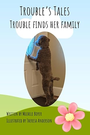 trouble finds her family trouble s tales  michele boyer, theresa anderson 979-8867567828