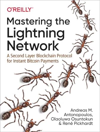 mastering the lightning network a second layer blockchain protocol for instant bitcoin payments 1st edition