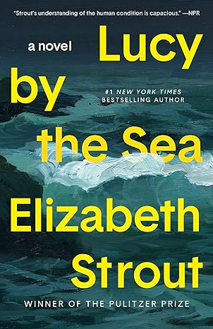 lucy by the sea a novel  elizabeth strout 0593446089, 978-0593446089