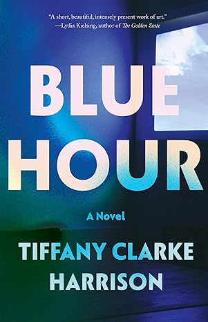 blue hour a novel  tiffany clarke harrison 1593767498, 978-1593767495