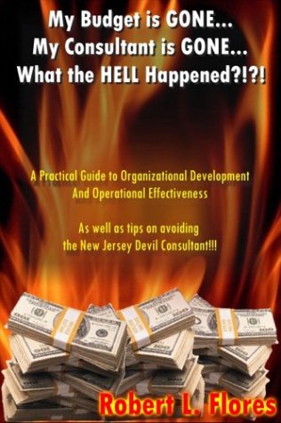 my budget is gone my consultant is gone what the hell happened a practical guide to organizational