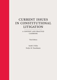 current issues in constitutional litigation a context and practice 3rd edition sarah e. ricks, evelyn m.
