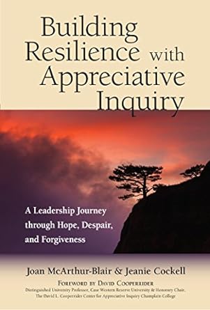 building resilience with appreciative inquiry a leadership journey through hope despair and forgiveness 1st