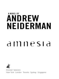 amnesia a novel  andrew neiderman 074341800x, 9780743450409, 9780743412674, 9780743418003
