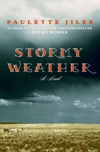 Stormy Weather A Novel