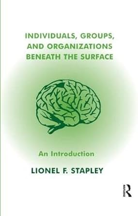 individuals groups and organizations beneath the surface an introduction 1st edition lionel f stapley