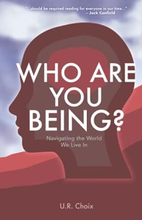 who are you being navigating the world we live in 1st edition u r choix 1736452703, 978-1736452707