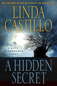 a hidden secret a kate burkholder story  linda castillo 1250082005, 9781250082008