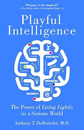 playful intelligence the power of living lightly in a serious world 1st edition anthony t. debenedet md
