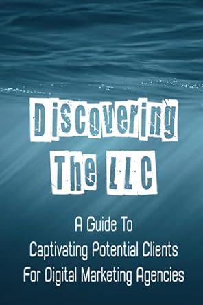 discovering the llc a guide to captivating potential clients for digital marketing agencies 1st edition joya