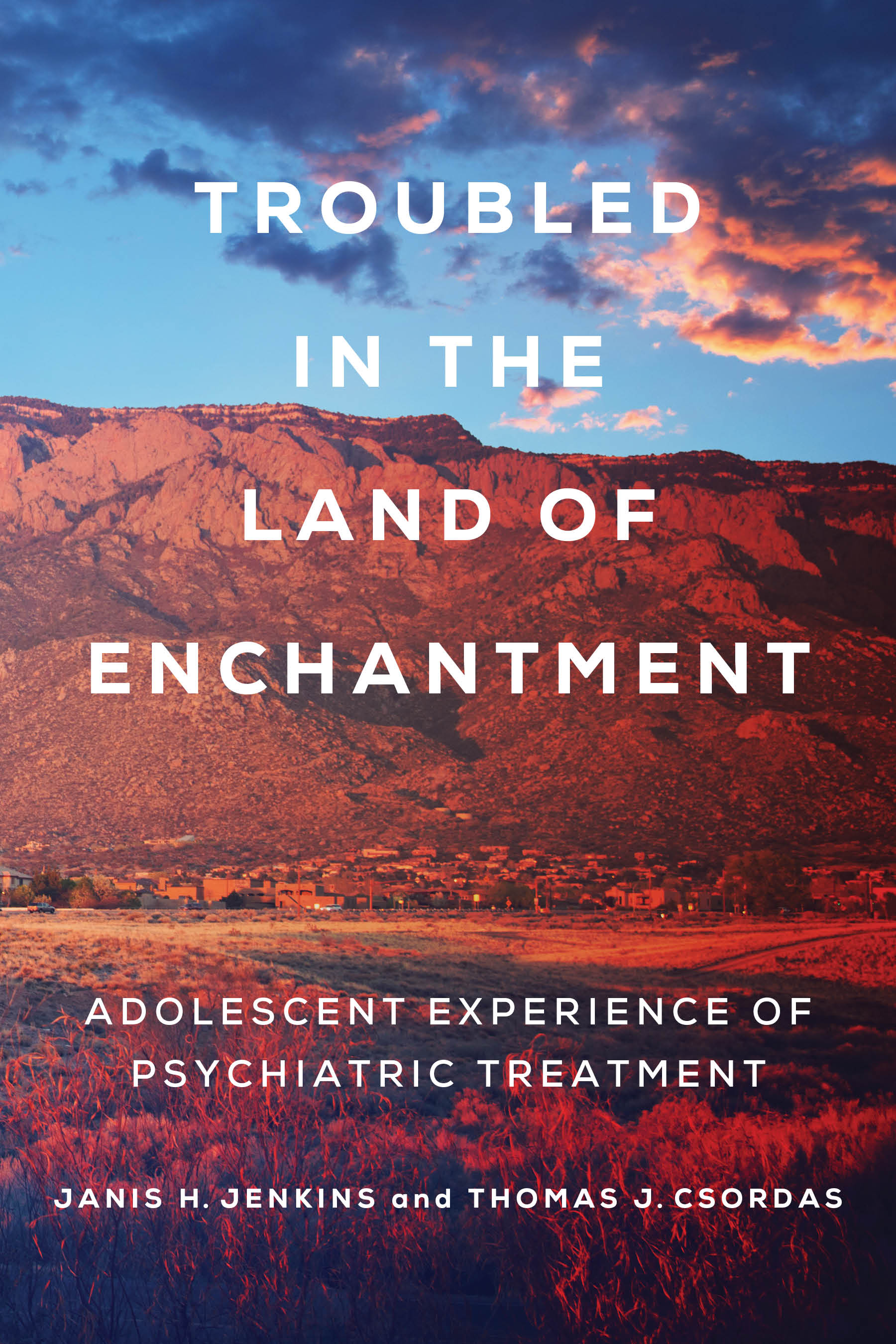 troubled in the land of enchantment adolescent experience of psychiatric treatment 1st edition janis h