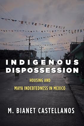 indigenous dispossession housing and maya indebtedness in mexico 1st edition m. bianet castellanos
