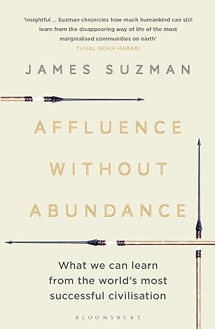 affluence without abundance what we can learn from the world s most successful civilisation 1st edition james