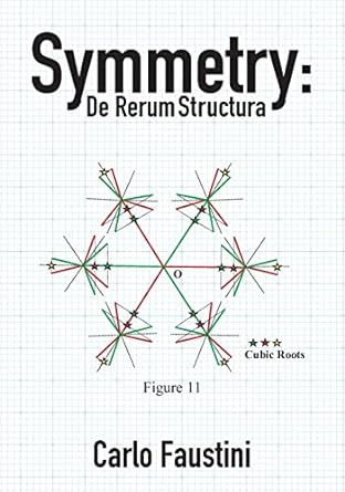 symmetry de rerum structura 1st edition carlo faustini 1516876938, 978-1516876938