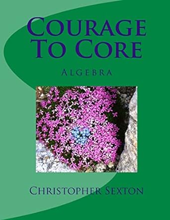 courage to core algebra 1st edition christopher sexton 1516981065, 978-1516981069