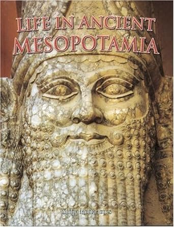 life in ancient mesopotamia 1st edition shilpa mehta jones 0778720667, 978-0778720669