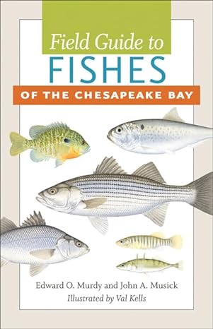 field guide to fishes of the chesapeake bay 1st edition edward o murdy ,john a musick ,valerie a kells