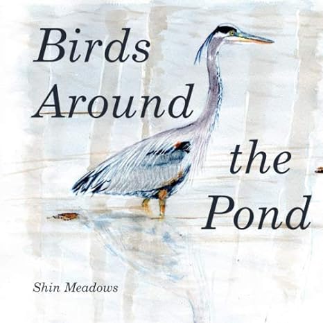 birds around the pond 1st edition shin meadows 979-8631148987