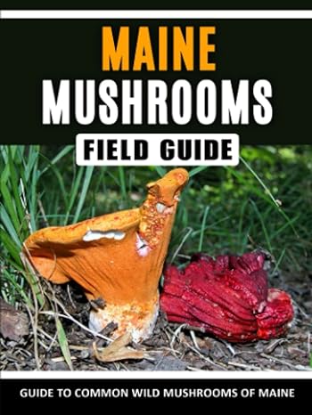 maine mushrooms field guide guide to common wild mushrooms of maine 1st edition qarrar press 979-8389588769