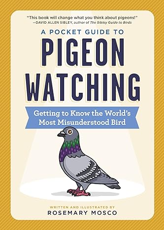 a pocket guide to pigeon watching getting to know the world s most misunderstood bird 1st edition rosemary